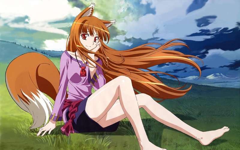 Holo Waifu (Spice and Wolf)